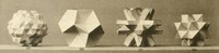 Max Brückners Collection of Polyhedral Models 1900.jpg